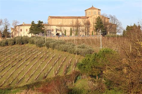 monti cesena gucci|monti cesena.